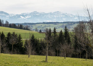 Ausblick Panoramawanderung