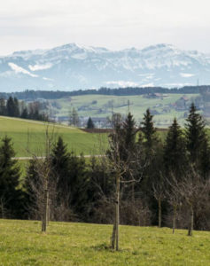 Ausblick Panoramawanderung